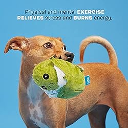 Barkbox 2-in-1 Interactive Plush Puzzle Dog Toys
