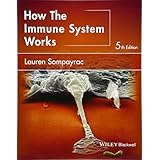 How the Immune System Works (The How it Works Series)