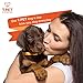 T-PET Dental Care Gel For Dog - Freshen Breath - Reduce Plaque and Tartar - Vets Approved - Toothpaste Dental Care with Toothbrush - 100% Edible Even for Humans - 4.22 o.z./ 120mL