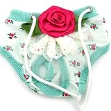 PanDaDa Puppy Pet Dog Flower Sanitary Panty Pant Lace Diaper Underwear Green X-Small