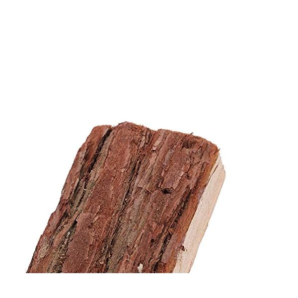 Giocattolo per criceti, legno naturale criceto del criceto gabbia esercizio di arrampicata tunnel tubo per scoiattoli… HEEPDD Giocattolo per criceti, legno naturale criceto del criceto gabbia esercizio di arrampicata tunnel tubo per scoiattoli…