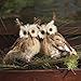 Christmas Feathered OWL Bird Figure 5