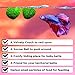 SunGrow 2 Betta Heart Marimos – Beautiful & Rare Aquatic Plants – Pair of 0.6″ Heart-Shaped Moss Balls – Low Maintenance Good Luck Charms for Betta Fish Tanks – Creative Addition to DIY Home Decorthumb 2