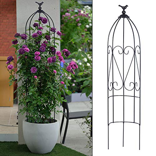CJSWT Garten Obelisken Metall Trellis Blumenunterstützung Für Klettern von Reben und Pflanzen,Rankhilfe, Rankgerüst… – Bild 5