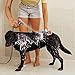 EIGSO Handheld Bidet Sprayer,Complete Premium Stainless Steel Bathroom Shattaf Sprayer Best Used for Personal Hygiene,Potty Toilet Spray (EIGSO-003)