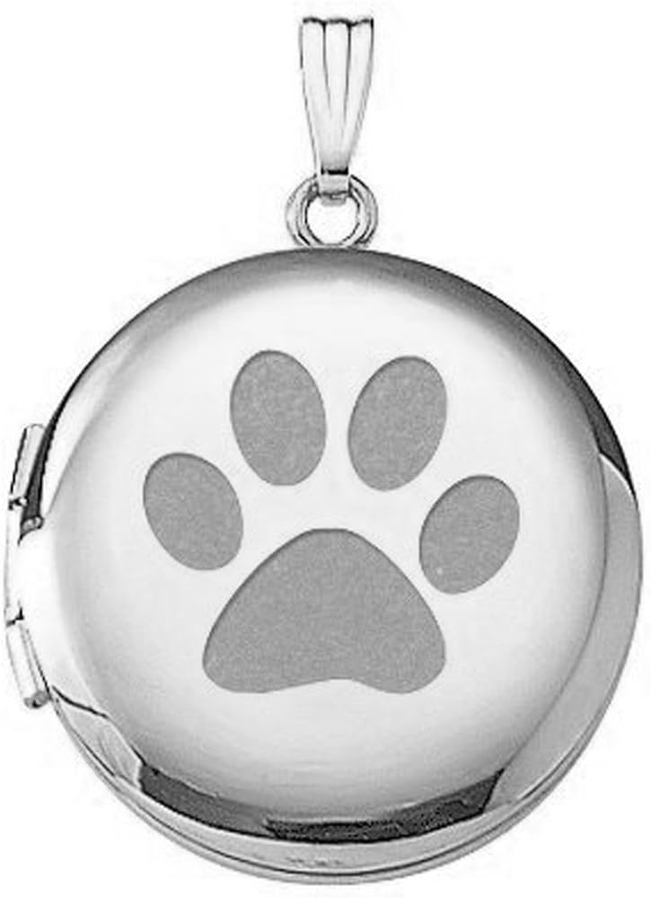 best food for elderly cats