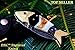 DKC Knives (29 5/18) DKC-139 TIGER FISH Bass Trout Fishing Pocket Folding Damascus Hunting Knife Brass & Bone Folded 7.7oz Great Fisherman Gift Bass Fishing Work of Art ! FISHANA SERIES
