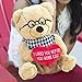 Hollabears Hipster Teddy Bear Plush - Funny and Cute Gift Idea for the Girlfriend, Boyfriend, or Friend