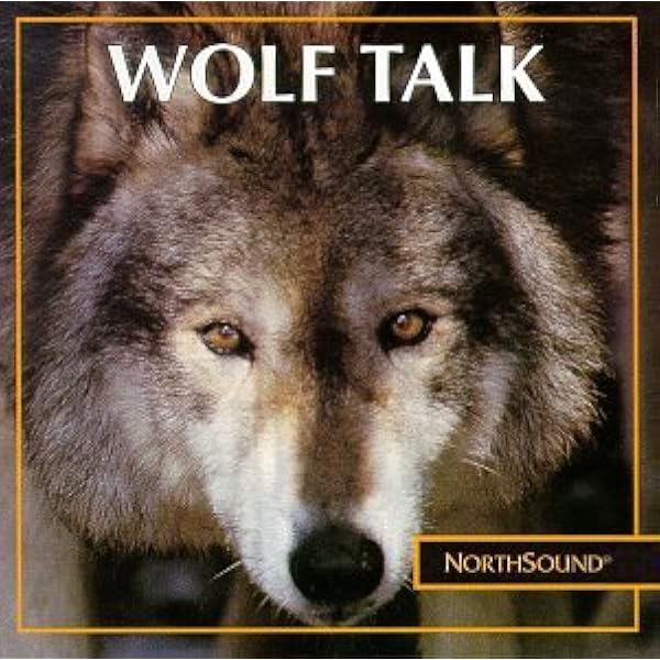 その他 When the Wolves Return [CD] Nazgul – When The Wolves Return To The Forest [Re-Release] - The