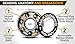 SKITCH Pro Skateboard Bearings Set - Precision Fast Spin ABEC 9 Chrome Steel Bearing Kit for Longboards, Skate Boards, Scooters and Roller Skates + Spacers + Washers + Bonus Carry Case (8-Pack)