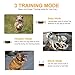 Dog Training Collar, Rechargeable Dog Shock Collar with Remote, 3 Training Modes, Beep, Vibration and Shock, 100% Waterproof Training Collar, 1300 ft Range Shock Collar for Small Medium Large Dogsthumb 1