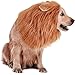 RWM Dog Lion Mane Costume - Pet Wig Clothes for Halloween Party - Lion Wig for Medium to Large Sized Dogs Lion Mane Funny Dogs
