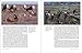 Wildlife Spectacles: Mass Migrations, Mating Rituals, and Other Fascinating Animal Behaviors