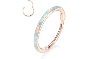 GAGABODY 20G 18G 16G 14G 6mm-12mm 316L Surgical Steel Piercing Jewelry Hinged Seamless Earrings Clicker Hoop Piercing Rings for Cartilage Helix Rook Septum Daith Tragus Lobe CZ/Opal/Shell/Turquoise