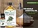 BioFinest Fir Needle Oil - 100% Pure Fir Needle Essential Oil - Calm Mind, Reduce Fatigue, Ache, Arthritis - Premium Quality - Therapeutic Grade - Best For Aromatherapy - FREE E-Book (10ml)