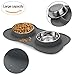 Double Dog Cat Bowls 2 Stainless Steel with No Spill Non-Skid Silicone Mat, Pet Food Water Feeder Bowl for Small Medium Large Dogs, Puppies, and Pets
