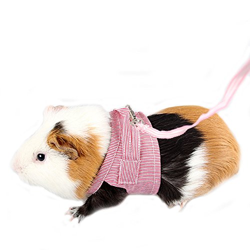 Mummumi Small Animal Harnesses Hamster Harness Leash Pet Traction Rope