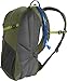 CamelBak Cloud Walker 18 Crux Reservoir Hydration Pack, Lichen Green/Dark Citron, 2.5 L/85 oz