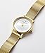 Stuhrling Original Women's Ascot Casatorra Elite Stainless Steel Watch with Diamond (Gold)