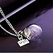 Glass Ball Handmade Necklace DIY Creative Dandelion Dry Flower Wish Clavicle
