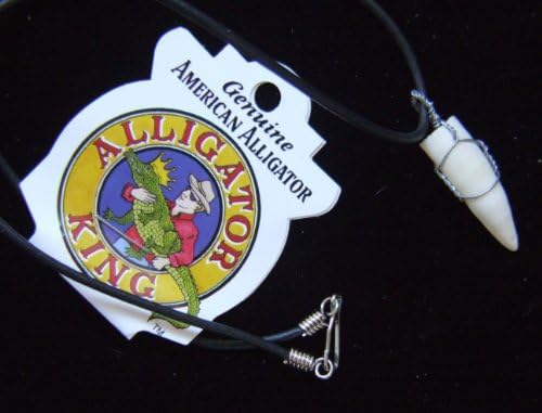 Alligator Tooth Wire Wrap Gator New Orleans Louisianna Cajun Creole Voodoo Bayou Genuine