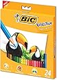 BIC Evolution 902638, Lápis de Cor Sextavado, 24 Cores