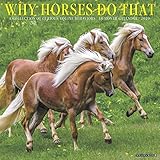 Why Horses Do That 2020 Wall Calendar by