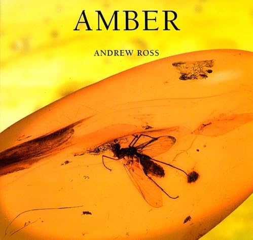 Amber: The Natural Time Capsule