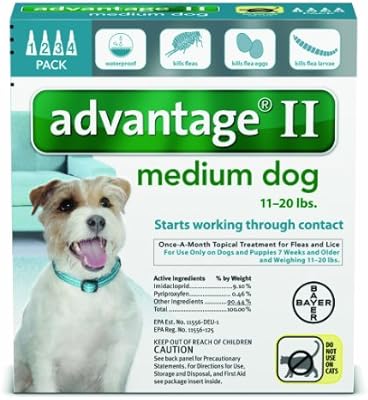 kitten clothing brand