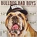 Bulldog Bad Boys 2019 Wall Calendar (Dog Breed Calendar)