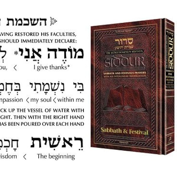 Hebrew English Interlinear Translation Siddur Sabbath Holiday Prayers Artscroll 0783998016016 Amazon Com Books
