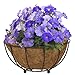 CobraCo Black Canterbury Floor Planter FLPLCB-B