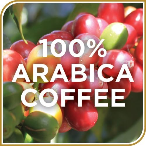 DON FRANCISCO’S CARAMEL CREAM GROUND FLAVORED COFFEE: RICH, AROMATIC 100% ARABICA BEANS – EXPERTLY ROASTED FOR A DELIGHTFUL MORNING BREW (12 OZ CAN)