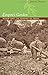 Empire's Garden: Assam and the Making of India (Radical Perspectives)