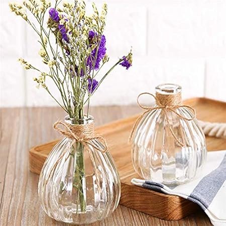 Chakil Vase aus transparentem Glas, Blumenvase, kreative Dekoration für Zuhause