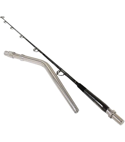 Amazon.com : Daiwa TANACOM DENDOH Style RODS, Sections= 2, Line Wt