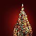Holiday Essence 300 Multi-Color Christmas Lights, with Green Wire – Professional Grade for Indoor/Outdoor Use – Static + Flashing