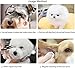 SCOBUTY Pet Eye Wipes,Pet Wipes,Pet Tear Wipes,Natural Tear Eye Stain Remover Pads for Pets, Cleansing Eye Wipes, Pet Soft Grooming Wipes 200 Pads