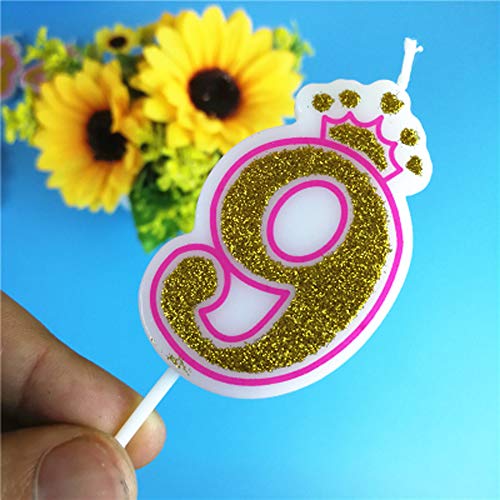 Vela De Cumpleaños Número Nueve Con Fuego 3D Número 9 Ilustración Vectorial EPS 10 | Vector Premium