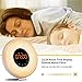 Radio Sunrise Alarm Clock, AK1980 Wake Up Light with 7 Colors Nature Sounds Snooze Function for Kids Teens Girls