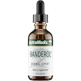 NutraMedix Daily Immune Support Supplement - Banderol Herbal Supplements for Immune System Support - Vegan Tincture - Bioavailable Otoba Bark Extract Liquid Drops (2 oz/60 ml)