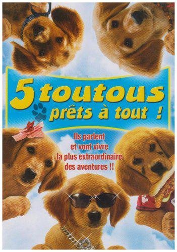 5 Toutous Prêts À Tout !