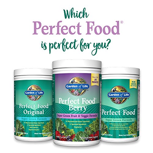 Garden of Life Whole Food Fruit and Vegetable Supplement Perfect Food