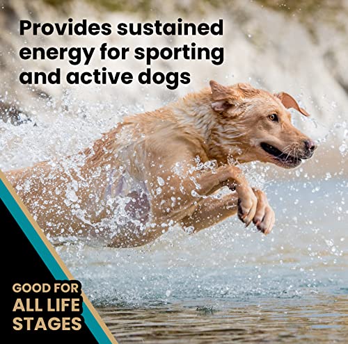 VICTOR Super Premium Dog Food &ndash; Hi-Pro Plus Dry Kibble &ndash; High Protein Dog Food with 30% Protein &ndash; Beef, Chicken, Pork, Fish Meals, Gluten Free - for High Energy and Active Dogs & Puppies, 40lbs