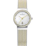 Skagen Silver and Gold Tone Mesh Watch