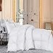 Luxurious Full/Queen Size Goose Down Comforter Duvet Insert, Exquisite Dobby Checkered Design, 1200 Thread Count 100% Egyptian Cotton, 750+ Fill Power, 55 oz Fill Weight, Premium Baffle Box, White