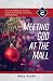 Meeting God At The Mall: Cycle C Sermons Based on Second Lessons for Advent, Christmas, and Epiphany by 