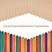 PAXCOO 100Pcs 6” Popcicles Sticks Jumbo Craft Sticks Colored and Natural for Craft