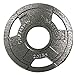 Champion Olympic Grip Plate, 2.5 lbs
