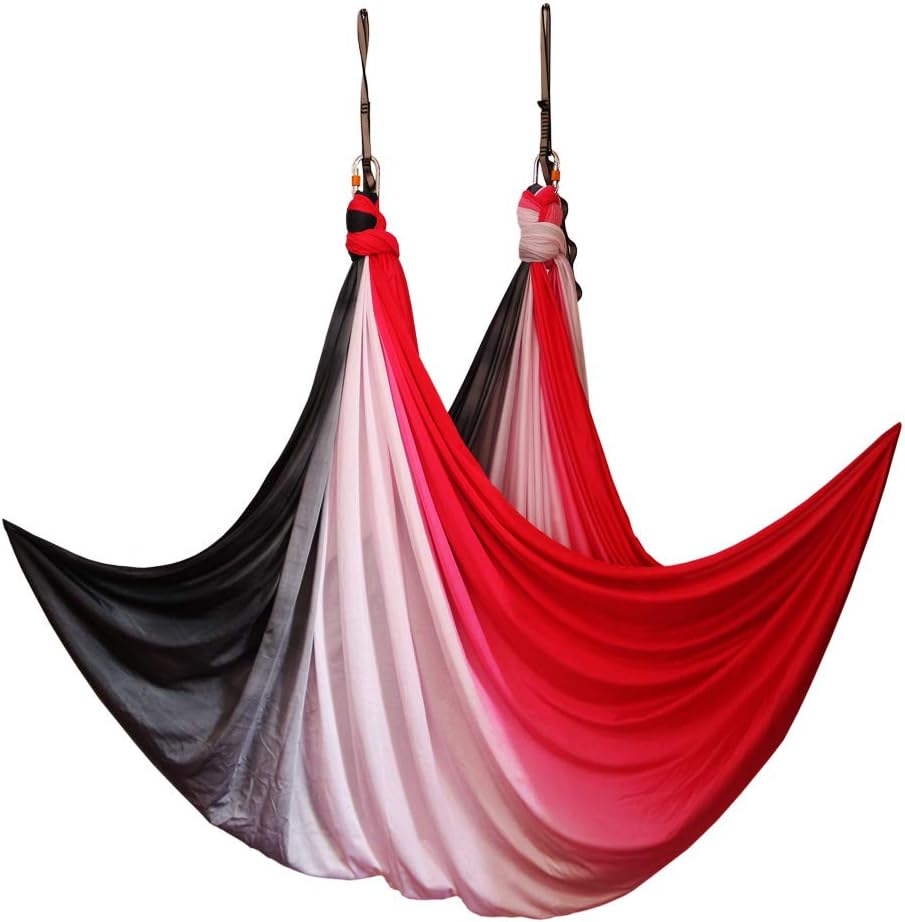 Wellsem Aerial Yoga Hammock Aerial Pilates Silk Yoga Swing Set Include Carabiners Daisy Chain, Pose Guide 5.5 Yards Set